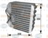 HYUNDAI 9760429000 Evaporator, air conditioning